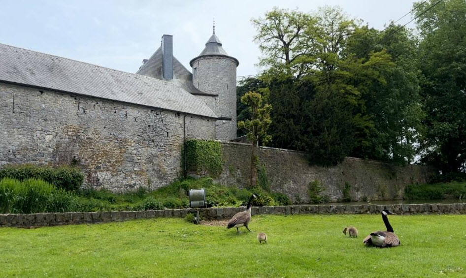 Holiday Musical Du Château D'ostin, Belgium